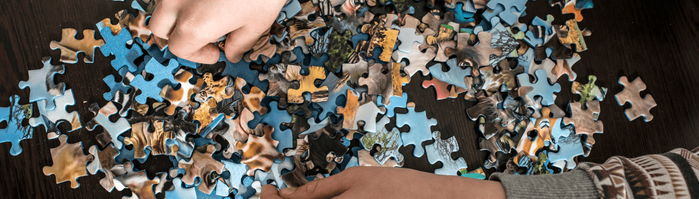 Steve Reeves Puzzles Premium Puzzles for Relaxation and Focus | Stevvex.com – Stevvex