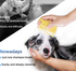 Pet Dog Cat Silicone Back Shower Brush Soft Hair Massage Bathtub Scrub Artifact Bath Brush 2-in-1 Pet  Massage Comb Soft Silicone Pet Shower Hair Grooming Comb Dog Cleaning Tool Pet Supplies Pet Brush Bath Massage Brush Shampoo Dispenser for Pet