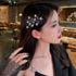 Femininity Rhinestone Star Hairpin Headwear Crowns Beach Hawaii Floral Garland Romantic Faux Rose Wedding Wreaths Flower Headband Girl Bride Rose Wedding Festival Headband