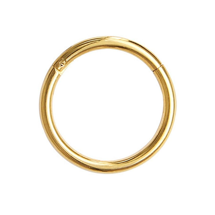 Titanium Gold Color Septum Rings Piercing Nose Earrings Women Men Jewelry Stud Fake Cool Earrings Stainsteel Jewelry in Pank style