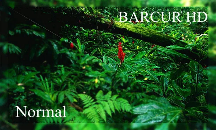 BARCUR Trendy Sunglasses Women’s Polarized Round Frame – Timeless Fashionable Sun Glasses for Driving Casual Wear – UV400 Protection Anti-Reflective Lenses