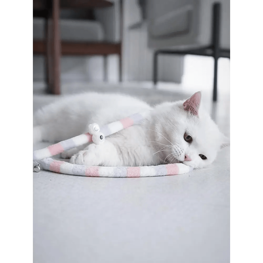 Colorful Rod Wand Feather Teaser Exerciser For Cats Soft Funny Interactive Toy For Pets Cute Cat Accessories - STEVVEX Pet - 727, cat accessories, cats toys, colorful cat toys, colorful rod toy for cat, colorful wands, creative toys for cat, creative toys for pets, cute pet accessories, cute pet toys, feather toy, funny pet toys, funny toys, interactive pet toys, interactive toys, pet accessories, pet feather toy, pet toy, pet toys, pets toys, teaser wand for cats, toys for cat, toys for pets - Stevvex.com
