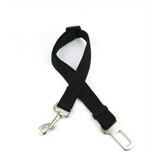 2021 Dog Harness and Leash Set For  Small Medium Dogs Nylon Mesh Puppy Cat Harnesses Vest Reflective Walking Lead Leash - Treko - 2021 trends, automatic leash, birthday gifts, casual leash, cat leash, color leash, colorful leash, cute cat leash, cute cate leash, cute dog leash, dogs birthday leash, fashion 2021, fashion leash, leash, leash 2021, leash for every dog, new trend 2021, nylon leash, stylish dog leash, trends 2021, trendy leash- Stevvex.com