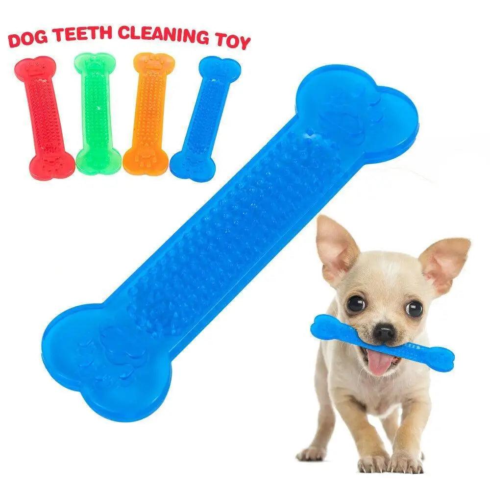 Hot Sale Pet Dog Chew Toys Rubber Bone Toy Aggressive Chewers Dog Toothbrush Doggy Puppy Dental Care For Dog Pet Accessories - ALLURELATION - 581, Aggressive Chewers Dog, Best selling pet toy, Bone Toy, Care For Dog, Chew Toys, colorful pet toy, gift for pets, high quality pet toy, Hot Sale Pet Dog Chew Toys, Pet Accessories, Pet Dog, Puppy Dental Care, Rubber Bone, Toothbrush Doggy - Stevvex.com