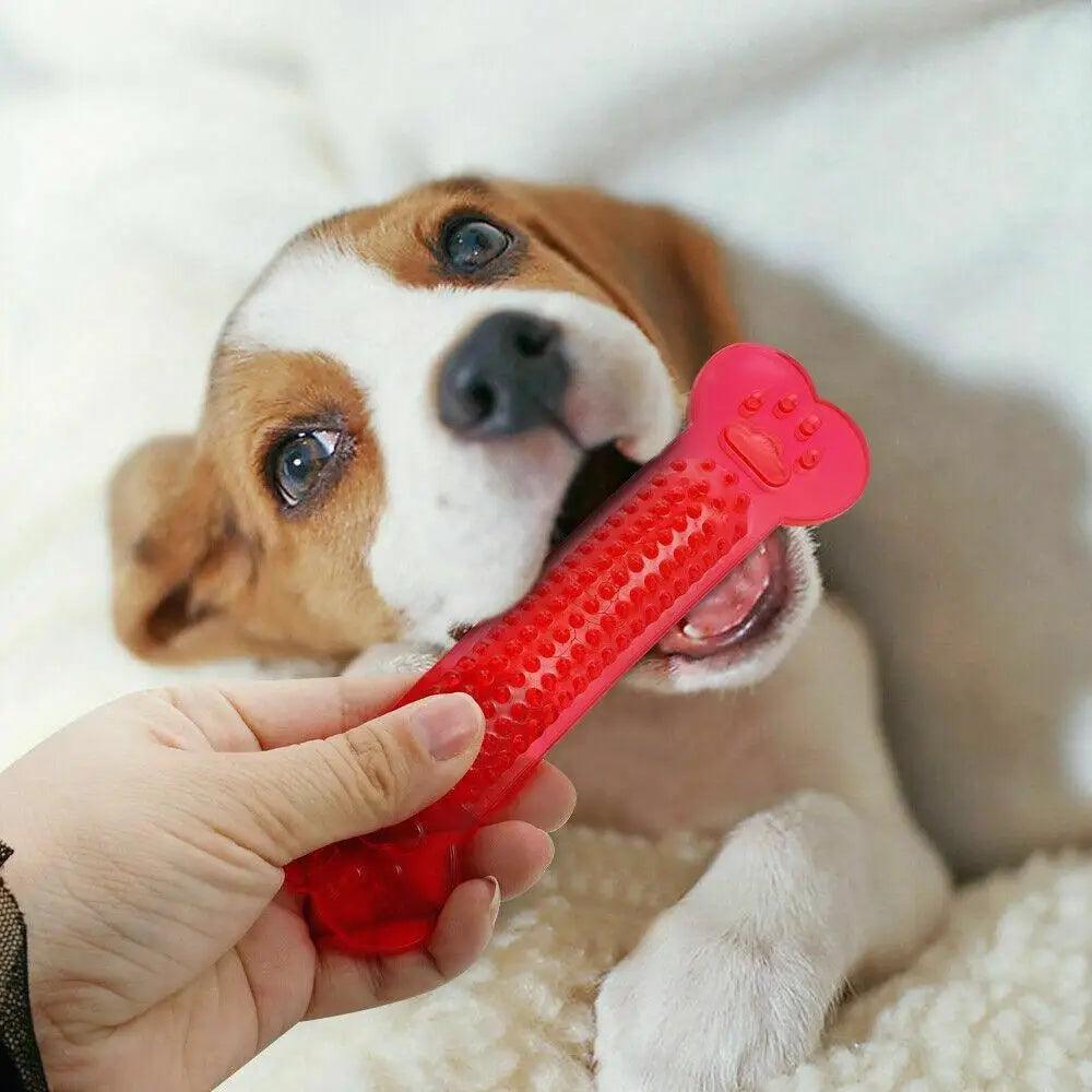 Hot Sale Pet Dog Chew Toys Rubber Bone Toy Aggressive Chewers Dog Toothbrush Doggy Puppy Dental Care For Dog Pet Accessories - ALLURELATION - 581, Aggressive Chewers Dog, Best selling pet toy, Bone Toy, Care For Dog, Chew Toys, colorful pet toy, gift for pets, high quality pet toy, Hot Sale Pet Dog Chew Toys, Pet Accessories, Pet Dog, Puppy Dental Care, Rubber Bone, Toothbrush Doggy - Stevvex.com