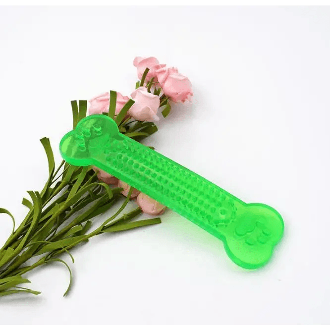 Hot Sale Pet Dog Chew Toys Rubber Bone Toy Aggressive Chewers Dog Toothbrush Doggy Puppy Dental Care For Dog Pet Accessories - ALLURELATION - 581, Aggressive Chewers Dog, Best selling pet toy, Bone Toy, Care For Dog, Chew Toys, colorful pet toy, gift for pets, high quality pet toy, Hot Sale Pet Dog Chew Toys, Pet Accessories, Pet Dog, Puppy Dental Care, Rubber Bone, Toothbrush Doggy - Stevvex.com