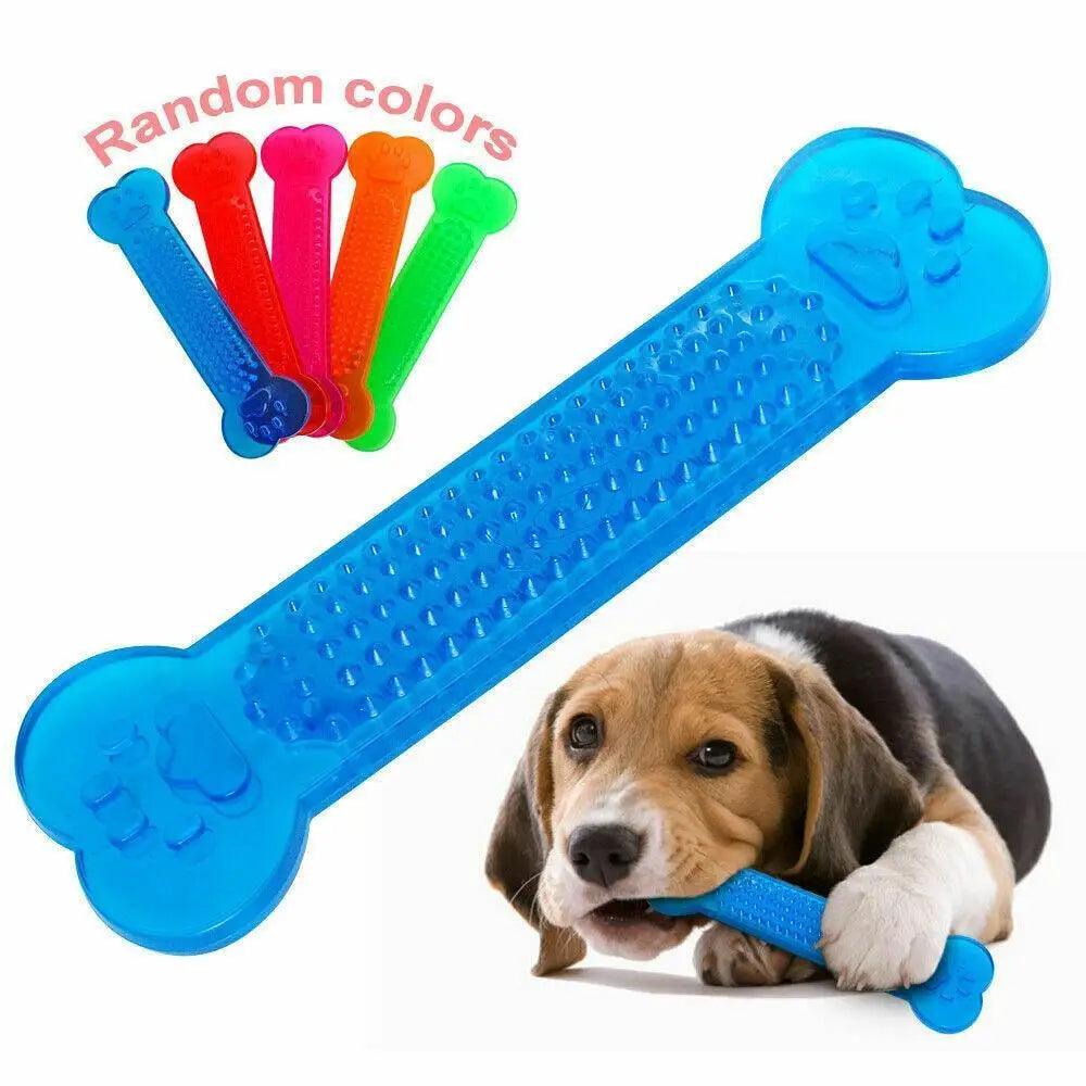Hot Sale Pet Dog Chew Toys Rubber Bone Toy Aggressive Chewers Dog Toothbrush Doggy Puppy Dental Care For Dog Pet Accessories - ALLURELATION - 581, Aggressive Chewers Dog, Best selling pet toy, Bone Toy, Care For Dog, Chew Toys, colorful pet toy, gift for pets, high quality pet toy, Hot Sale Pet Dog Chew Toys, Pet Accessories, Pet Dog, Puppy Dental Care, Rubber Bone, Toothbrush Doggy - Stevvex.com