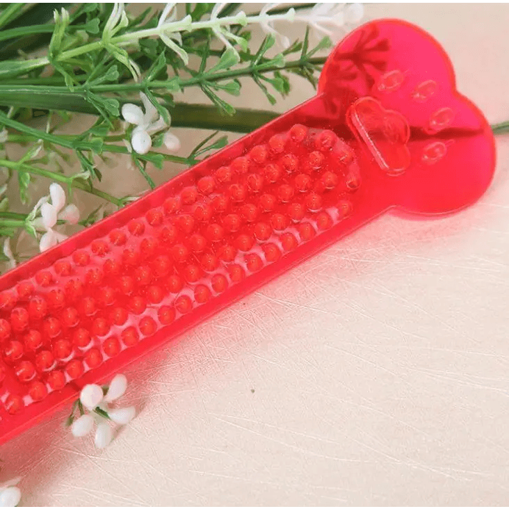 Hot Sale Pet Dog Chew Toys Rubber Bone Toy Aggressive Chewers Dog Toothbrush Doggy Puppy Dental Care For Dog Pet Accessories - ALLURELATION - 581, Aggressive Chewers Dog, Best selling pet toy, Bone Toy, Care For Dog, Chew Toys, colorful pet toy, gift for pets, high quality pet toy, Hot Sale Pet Dog Chew Toys, Pet Accessories, Pet Dog, Puppy Dental Care, Rubber Bone, Toothbrush Doggy - Stevvex.com