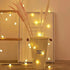 New Lightning 2M 5M 10M Cherry Balls LED Fairy String Lights Battery USB 220V 110V Operated Wedding Christmas Outdoor