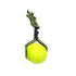 New Trendy Indestructible Teeth Rubber Bite Funny Puppy Training Ball Chew Toys Play Go Get Solid With Carrier Rope Dog Pet - ALLURELATION - 581, Ball Chew Toys, Best selling pet toy, colorful pet toy, gift for pets, Go Get Solid With Carrier Rope pet toys, grinding of pet teeth, high quality pet toy, Pet Accessories, pet dog toy, Pet tooth cleaning ball, Pet Toy, pet's focus toy, Rubber Bite for dogs, solid toy for dogs, Top quality pet toy, toy balls, Toys Play Go, Training Ball Chew - Stevvex.com