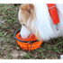 Universal Colorful Collapsible Silicone Dog Food Water Bowl Foldable Cup Dish For Pet Portable Travel Bowl For Dog