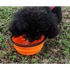 Universal Colorful Collapsible Silicone Dog Food Water Bowl Foldable Cup Dish For Pet Portable Travel Bowl For Dog