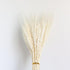 30pcs Natural Dried Pampas Grass Bouquet Pampas Grass Reeds Flowers Bulrush Bouquets Durable For for Vase Artificial Grass Room Décor Wedding Decorations