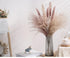 30pcs Natural Dried Pampas Grass Bouquet Pampas Grass Reeds Flowers Bulrush Bouquets Durable For for Vase Artificial Grass Room Décor Wedding Decorations