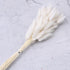 30pcs Natural Dried Pampas Grass Bouquet Pampas Grass Reeds Flowers Bulrush Bouquets Durable For for Vase Artificial Grass Room Décor Wedding Decorations