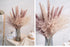 30pcs Natural Dried Pampas Grass Bouquet Pampas Grass Reeds Flowers Bulrush Bouquets Durable For for Vase Artificial Grass Room Décor Wedding Decorations