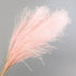 30pcs Natural Dried Pampas Grass Bouquet Pampas Grass Reeds Flowers Bulrush Bouquets Durable For for Vase Artificial Grass Room Décor Wedding Decorations