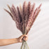 30pcs Natural Dried Pampas Grass Bouquet Pampas Grass Reeds Flowers Bulrush Bouquets Durable For for Vase Artificial Grass Room Décor Wedding Decorations