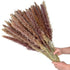 30pcs Natural Dried Pampas Grass Bouquet Pampas Grass Reeds Flowers Bulrush Bouquets Durable For for Vase Artificial Grass Room Décor Wedding Decorations
