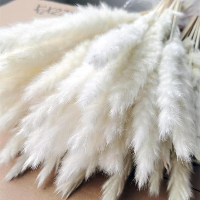 30pcs Natural Dried Pampas Grass Bouquet Pampas Grass Reeds Flowers Bulrush Bouquets Durable For for Vase Artificial Grass Room Décor Wedding Decorations