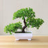 Artificial Bonsai Tree Fake Flower Potted Ornament For Home, Room, Garden, Bookshelves Decoration Desktop Display Artificial Flower Potted for Home Decor