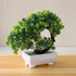 Artificial Small Tree Pot Fake Flowers Bonsai Potted Ornaments For Home Decoration Hotel Garden Decor Artificial Bonsai Tree Fake Greenery for Home Office Desk Wall Book Shelf Decor Room Decor