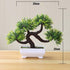 Artificial Small Tree Pot Fake Flowers Bonsai Potted Ornaments For Home Decoration Hotel Garden Decor Artificial Bonsai Tree Fake Greenery for Home Office Desk Wall Book Shelf Decor Room Decor