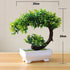 Artificial Small Tree Pot Fake Flowers Bonsai Potted Ornaments For Home Decoration Hotel Garden Decor Artificial Bonsai Tree Fake Greenery for Home Office Desk Wall Book Shelf Decor Room Decor