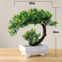 Artificial Small Tree Pot Fake Flowers Bonsai Potted Ornaments For Home Decoration Hotel Garden Decor Artificial Bonsai Tree Fake Greenery for Home Office Desk Wall Book Shelf Decor Room Decor