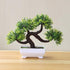 Artificial Small Tree Pot Fake Flowers Bonsai Potted Ornaments For Home Decoration Hotel Garden Decor Artificial Bonsai Tree Fake Greenery for Home Office Desk Wall Book Shelf Decor Room Decor