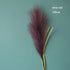 Bulrush Artificial Pampas Grass Phragmites 100cm Popular Natural Dried Small Pampas Grass For Wedding Flower Bunch Floor Vase Filler for Living Room Kitchen Decor