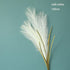 Bulrush Artificial Pampas Grass Phragmites 100cm Popular Natural Dried Small Pampas Grass For Wedding Flower Bunch Floor Vase Filler for Living Room Kitchen Decor