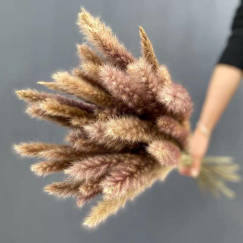 Bulrush Natural Dried Flowers Artificial Branch Pampas Grass Phragmites Fake Flower Wedding Home Decoration Christmas Decor
