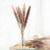 Bulrush Natural Dried Flowers Artificial Branch Pampas Grass Phragmites Fake Flower Wedding Home Decoration Christmas Decor