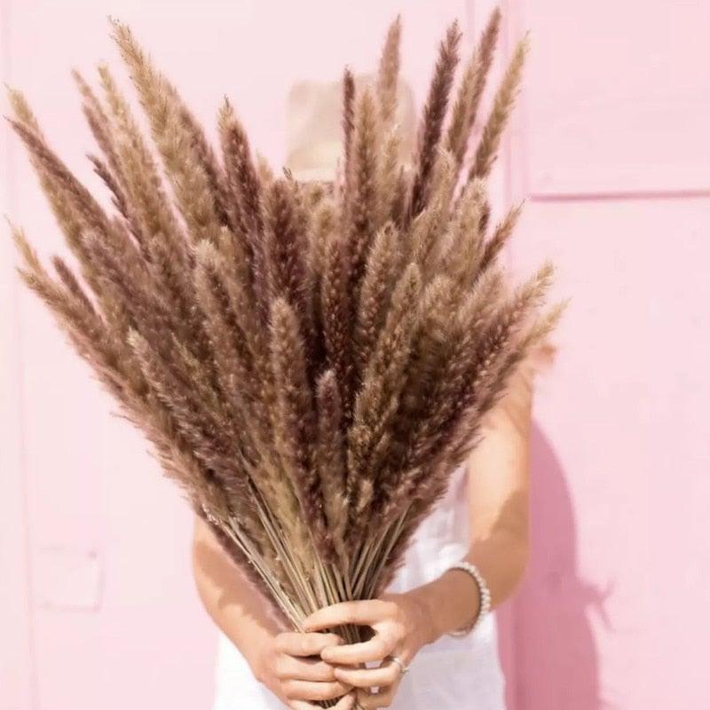 Bulrush Natural Dried Flowers Artificial Branch Pampas Grass Phragmites Fake Flower Wedding Home Decoration Christmas Decor
