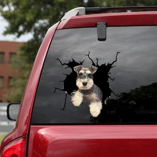 Funny Dog Head In The Crack Vinyl Car Funny Dog Head In The Crack Vinyl Car Stickers Decals Motorcycle Accessories Car-window Decorative Goods Broken Glass Sticker Car Stickers Decals Motorcycle Accessories Car-window Decorative Goods Pvc Car Sticker - ALLURELATION - 553, Broken Glass Sticker, car, Car Accessories, Car Decals, Car Gadgets, Car Organizer, Car Ornaments, Car Sticker, Car Stickers Decals, Decorative Goods, Dog Head In The Crack Vinyl, Glass Sticker - Stevvex.com