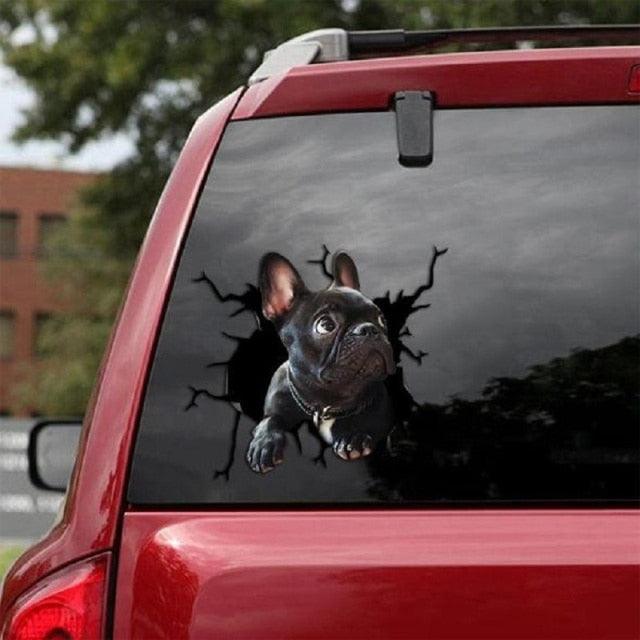 Funny Dog Head In The Crack Vinyl Car Funny Dog Head In The Crack Vinyl Car Stickers Decals Motorcycle Accessories Car-window Decorative Goods Broken Glass Sticker Car Stickers Decals Motorcycle Accessories Car-window Decorative Goods Pvc Car Sticker - ALLURELATION - 553, Broken Glass Sticker, car, Car Accessories, Car Decals, Car Gadgets, Car Organizer, Car Ornaments, Car Sticker, Car Stickers Decals, Decorative Goods, Dog Head In The Crack Vinyl, Glass Sticker - Stevvex.com