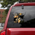 Funny Dog Head In The Crack Vinyl Car Funny Dog Head In The Crack Vinyl Car Stickers Decals Motorcycle Accessories Car-window Decorative Goods Broken Glass Sticker Car Stickers Decals Motorcycle Accessories Car-window Decorative Goods Pvc Car Sticker - ALLURELATION - 553, Broken Glass Sticker, car, Car Accessories, Car Decals, Car Gadgets, Car Organizer, Car Ornaments, Car Sticker, Car Stickers Decals, Decorative Goods, Dog Head In The Crack Vinyl, Glass Sticker - Stevvex.com