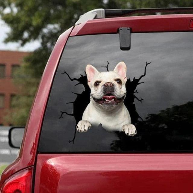 Funny Dog Head In The Crack Vinyl Car Funny Dog Head In The Crack Vinyl Car Stickers Decals Motorcycle Accessories Car-window Decorative Goods Broken Glass Sticker Car Stickers Decals Motorcycle Accessories Car-window Decorative Goods Pvc Car Sticker - ALLURELATION - 553, Broken Glass Sticker, car, Car Accessories, Car Decals, Car Gadgets, Car Organizer, Car Ornaments, Car Sticker, Car Stickers Decals, Decorative Goods, Dog Head In The Crack Vinyl, Glass Sticker - Stevvex.com