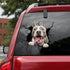 Funny Dog Head In The Crack Vinyl Car Funny Dog Head In The Crack Vinyl Car Stickers Decals Motorcycle Accessories Car-window Decorative Goods Broken Glass Sticker Car Stickers Decals Motorcycle Accessories Car-window Decorative Goods Pvc Car Sticker - ALLURELATION - 553, Broken Glass Sticker, car, Car Accessories, Car Decals, Car Gadgets, Car Organizer, Car Ornaments, Car Sticker, Car Stickers Decals, Decorative Goods, Dog Head In The Crack Vinyl, Glass Sticker - Stevvex.com