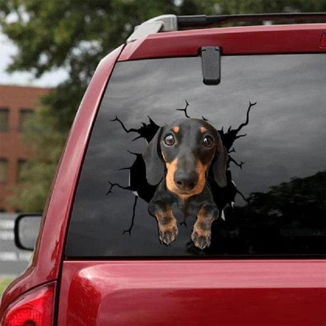 Funny Dog Head In The Crack Vinyl Car Funny Dog Head In The Crack Vinyl Car Stickers Decals Motorcycle Accessories Car-window Decorative Goods Broken Glass Sticker Car Stickers Decals Motorcycle Accessories Car-window Decorative Goods Pvc Car Sticker - ALLURELATION - 553, Broken Glass Sticker, car, Car Accessories, Car Decals, Car Gadgets, Car Organizer, Car Ornaments, Car Sticker, Car Stickers Decals, Decorative Goods, Dog Head In The Crack Vinyl, Glass Sticker - Stevvex.com