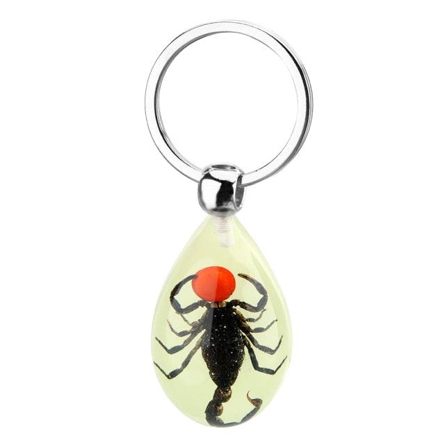 Luminous Creative Scorpion Keychain Car Keychain Artificial Amber Insect Car Key Ring Handbag Wallet Pendant Black Scorpion Resin Key Ring Glow In The Dark Pendants