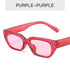 Luxury Style  Eyewear For Women/Men Designer Small Frame Cat Eye Glasses Women Cat Eye Sunglasses Vintage Square Shade Women Eyewear