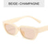 Luxury Style  Eyewear For Women/Men Designer Small Frame Cat Eye Glasses Women Cat Eye Sunglasses Vintage Square Shade Women Eyewear
