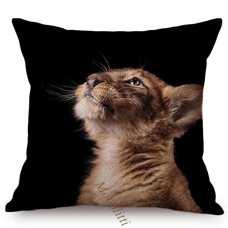 Modern Black And White Animals Portrait Photography Of Lion Zebra Elephant Tiger Pattern Sofa Pillow Cover Home Decor Square Cushions Cover 45x45cm