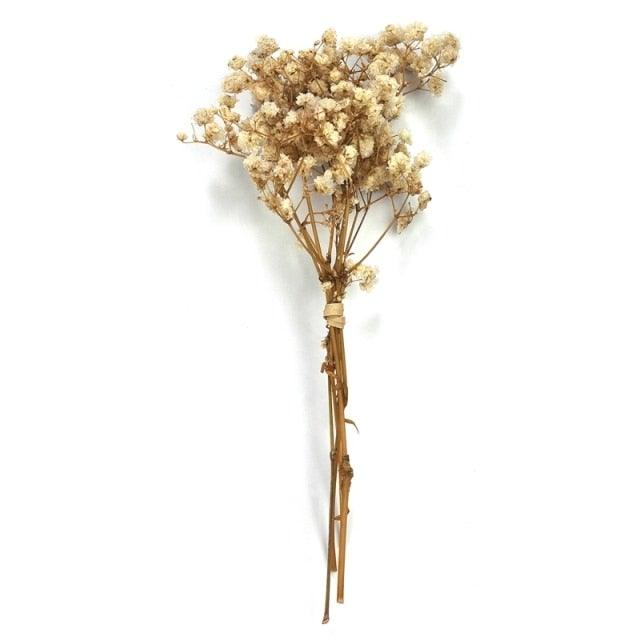 Natural Gypsophila Dried Flowers Mini Babysbreath Flower Preserve Floral  Decor Bouquet Wedding Party Home Backdrop Decor 12cm