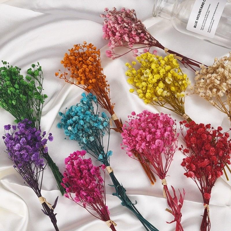Natural Gypsophila Dried Flowers Mini Babysbreath Flower Preserve Floral  Decor Bouquet Wedding Party Home Backdrop Decor 12cm