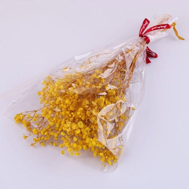 Natural Gypsophila Dried Flowers Mini Babysbreath Flower Preserve Floral  Decor Bouquet Wedding Party Home Backdrop Decor 12cm