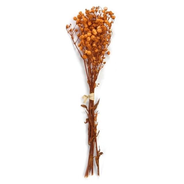 Natural Gypsophila Dried Flowers Mini Babysbreath Flower Preserve Floral  Decor Bouquet Wedding Party Home Backdrop Decor 12cm