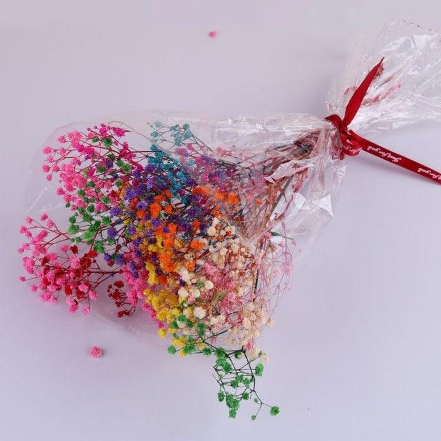 Natural Gypsophila Dried Flowers Mini Babysbreath Flower Preserve Floral  Decor Bouquet Wedding Party Home Backdrop Decor 12cm